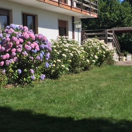 Villa Immersa Nel Verde A Lanzo dʼIntelvi Екстериор снимка