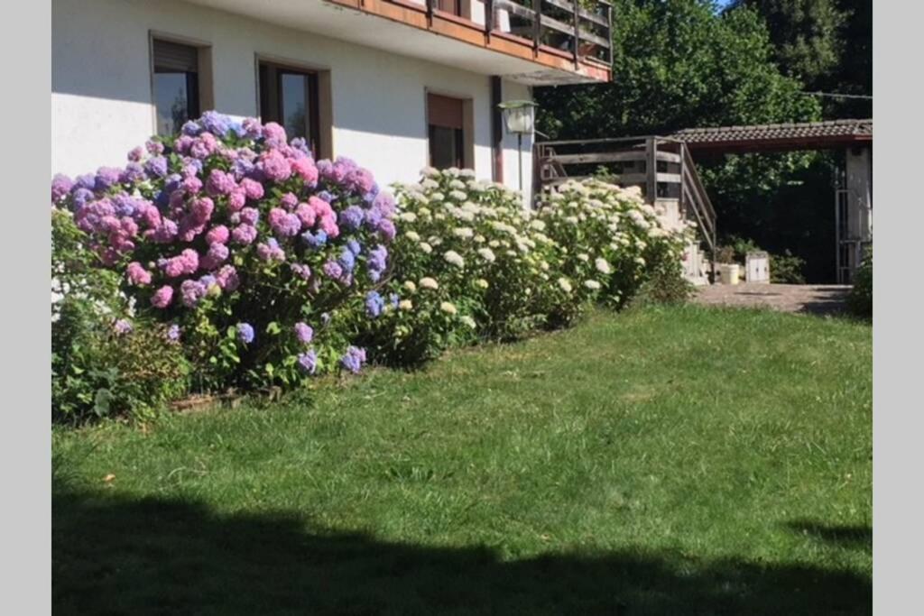 Villa Immersa Nel Verde A Lanzo dʼIntelvi Екстериор снимка